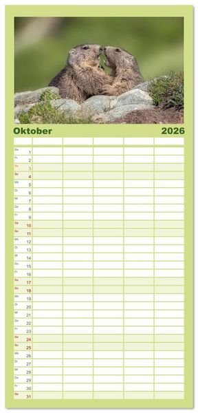 Produktbild: Familienplaner 2026 - Tiere der Alpen - Murmeltier-Kinder mit 5 Spalten (Wandkalender, 21 x 45 cm) CALVENDO