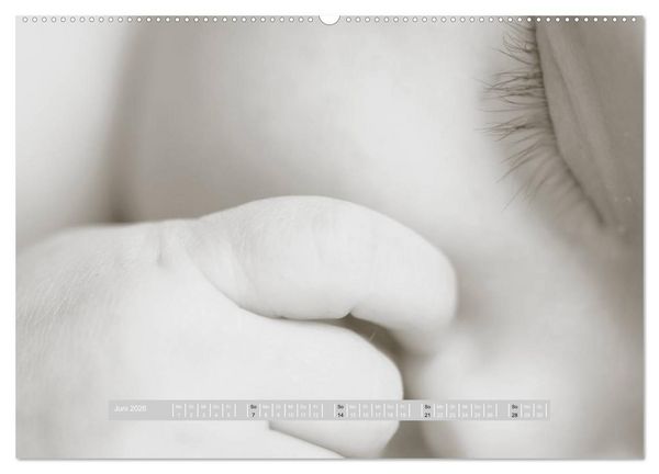 Produktbild: ...so winzig - Babykalender (hochwertiger Premium Wandkalender 2026 DIN A2 quer), Kunstdruck in Hochglanz