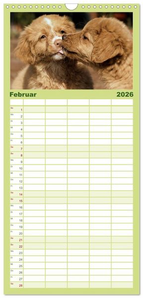 Produktbild: Familienplaner 2026 - Nova Scotia Duck Tolling Retriever mit 5 Spalten (Wandkalender, 21 x 45 cm) CALVENDO