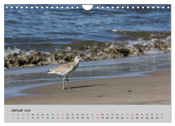 Produktbild: Costa Rica (Wandkalender 2026 DIN A4 quer), CALVENDO Monatskalender
