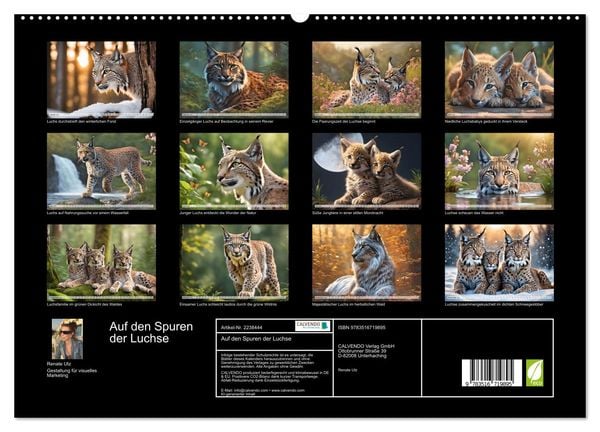 Produktbild: Auf den Spuren der Luchse (hochwertiger Premium Wandkalender 2026 DIN A2 quer), Kunstdruck in Hochglanz