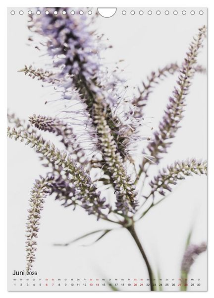 Produktbild: Pure Flowers (Wandkalender 2026 DIN A4 hoch), CALVENDO Monatskalender