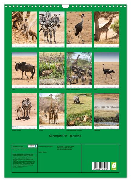 Produktbild: Serengeti Pur - Tansania (Wandkalender 2026 DIN A3 hoch), CALVENDO Monatskalender