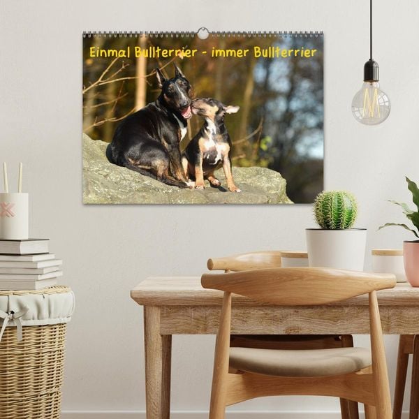 Produktbild: Einmal Bullterrier - immer Bullterrier (Wandkalender 2026 DIN A3 quer), CALVENDO Monatskalender