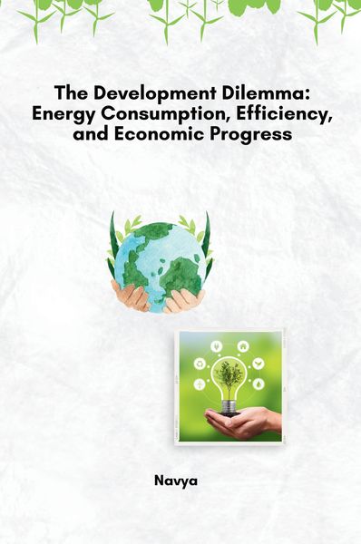 Produktbild: The Development Dilemma: Energy Consumption, Efficiency, and Economic Progress