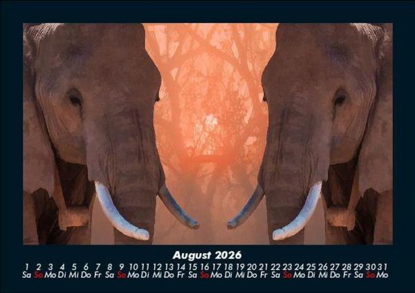 Produktbild: Elefanten - Die sanften Riesen Afrikas 2026 Fotokalender DIN A5