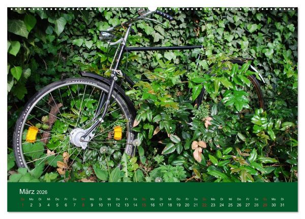 Produktbild: Das Fahrrad 2026 (hochwertiger Premium Wandkalender 2026 DIN A2 quer), Kunstdruck in Hochglanz
