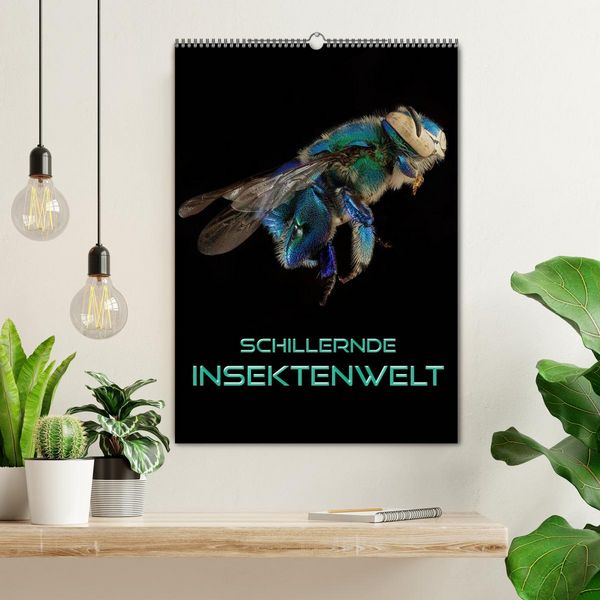 Produktbild: Schillernde Insektenwelt (Wandkalender 2026 DIN A2 hoch), CALVENDO Monatskalender