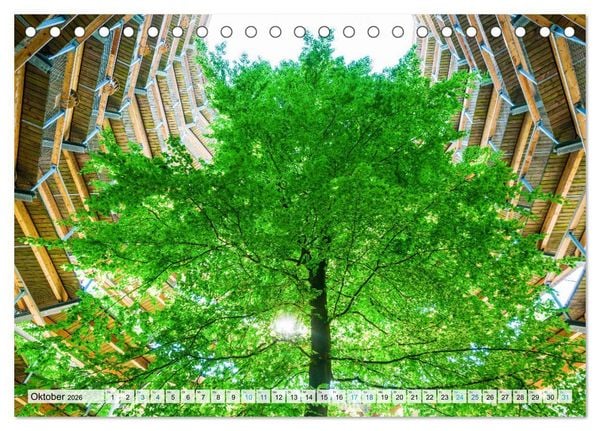 Produktbild: R&uuml;gen in Bildern (Tischkalender 2026 DIN A5 quer), CALVENDO Monatskalender