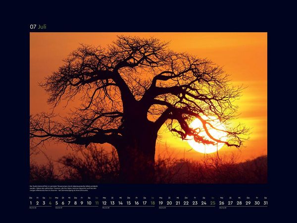 Produktbild: Alte B&auml;ume, Sinnbilder des Lebens - KUNTH Wandkalender 2027