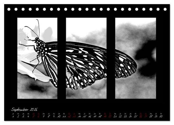 Produktbild: Die Kunst der Natur - Dreifach Stilvoll (Tischkalender 2026 DIN A5 quer), CALVENDO Monatskalender