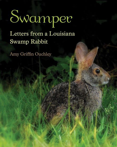 Produktbild: Swamper