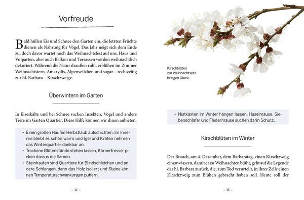 Produktbild: Das gro&szlig;e kleine Buch: Mein Garten im Winter