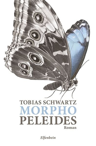 Produktbild: Morpho peleides