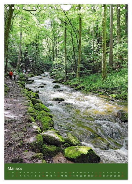 Produktbild: Schwarzwald Nord (Wandkalender 2026 DIN A4 hoch), CALVENDO Monatskalender