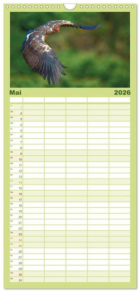 Produktbild: Familienplaner 2026 - Costa Ricas gefiederte Pracht mit 5 Spalten (Wandkalender, 21 x 45 cm) CALVENDO