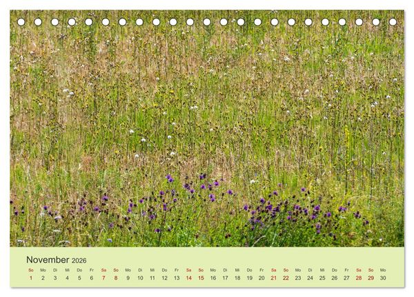 Produktbild: Wilde Blumen - ein Spaziergang durch die Natur (Tischkalender 2026 DIN A5 quer), CALVENDO Monatskalender