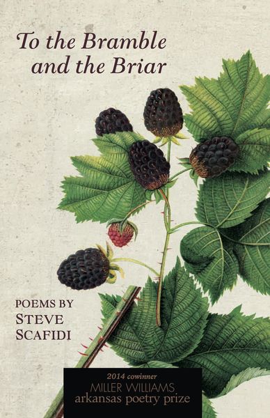 Produktbild: To the Bramble and the Briar