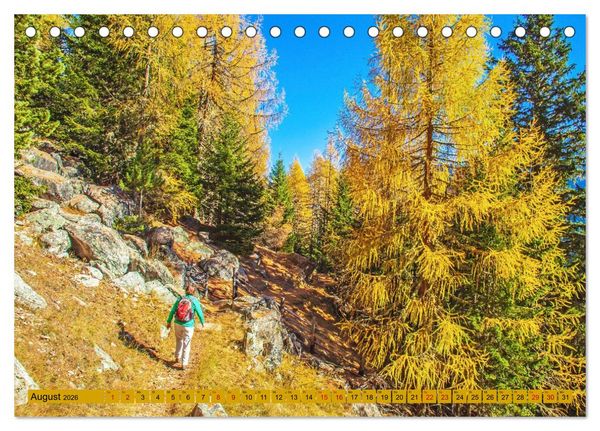 Produktbild: Das Element Holz - Ein Sinnbild (Tischkalender 2026 DIN A5 quer), CALVENDO Monatskalender