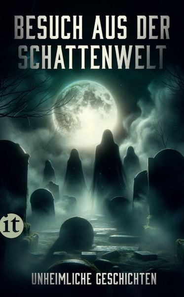 Besuch aus der Schattenwelt, Taschenbuch von , Insel, 9783458683704