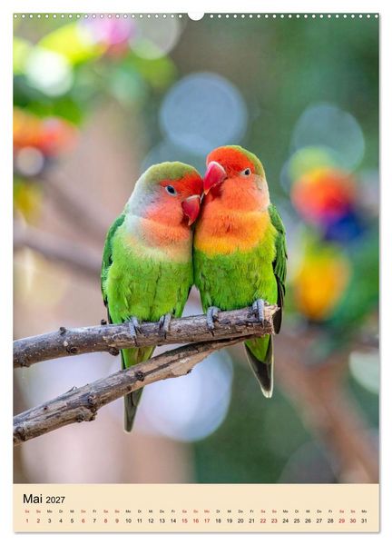 Produktbild: Lovebirds Harmonie (Wandkalender 2027 DIN A2 hoch), CALVENDO Monatskalender