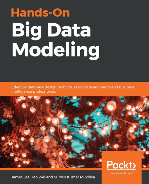 Produktbild: Hands-On Big Data Modeling