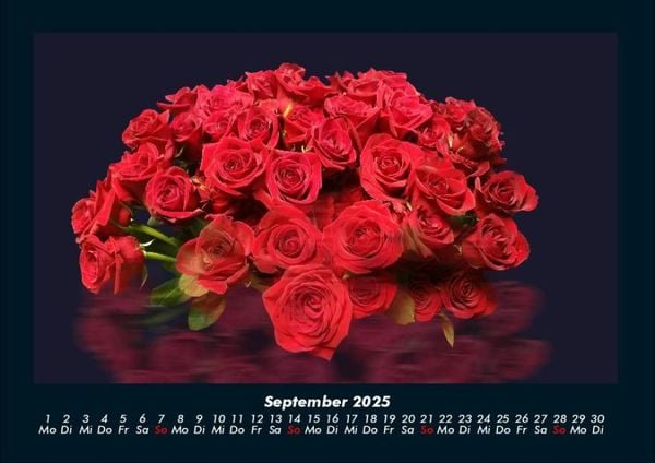 Produktbild: Rosentraum 2025 Fotokalender DIN A4