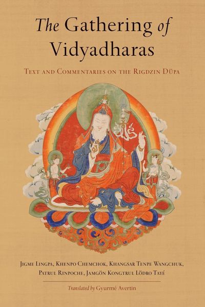 Produktbild: The Gathering of Vidyadharas