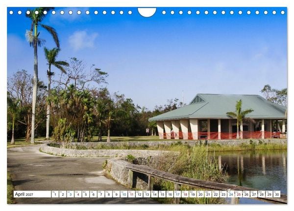 Produktbild: Sunshine State Florida Nature, Wildlife, National Parks (Wall Calendar 2027 DIN A4 landscape), CALVENDO 12 Month Wall Calendar