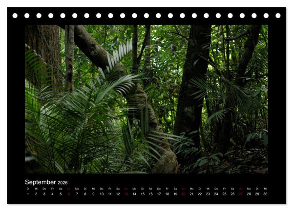 Produktbild: SUMATRA Abenteuer Regenwald (Tischkalender 2026 DIN A5 quer), CALVENDO Monatskalender