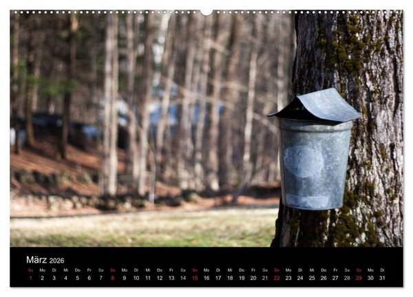 Produktbild: Neu England (Wandkalender 2026 DIN A2 quer), CALVENDO Monatskalender