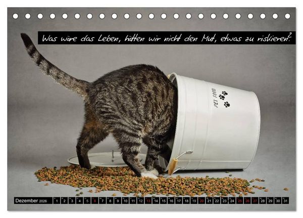 Produktbild: Der "philosophische" Katzenkalender 2026 (Tischkalender 2026 DIN A5 quer), CALVENDO Monatskalender