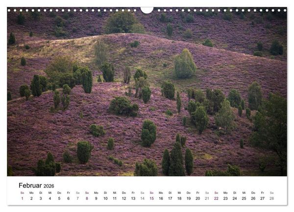 Produktbild: L&uuml;neburger Heide (Wandkalender 2026 DIN A3 quer), CALVENDO Monatskalender