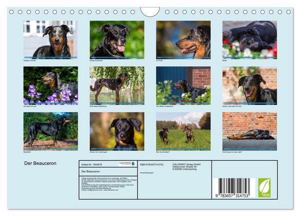 Produktbild: Der Beauceron (Wandkalender 2026 DIN A4 quer), CALVENDO Monatskalender
