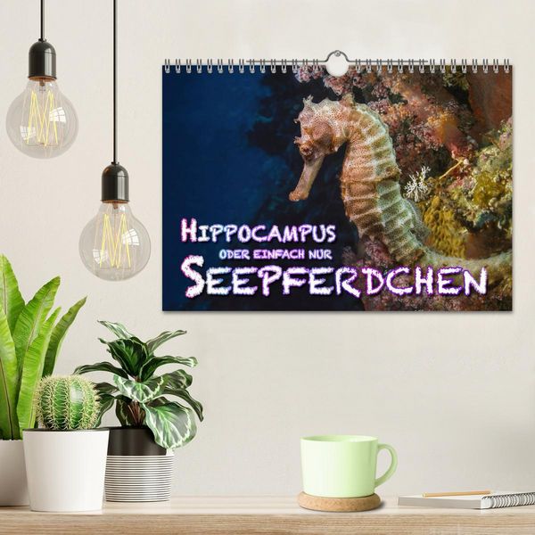 Produktbild: Hippocampus oder einfach nur Seepferdchen (Wandkalender 2026 DIN A4 quer), CALVENDO Monatskalender