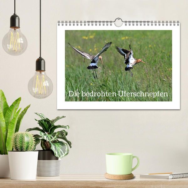 Produktbild: Die bedrohten Uferschnepfen (Wandkalender 2026 DIN A4 quer), CALVENDO Monatskalender
