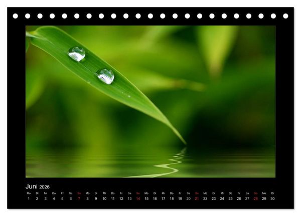 Produktbild: Meine kleine gr&uuml;ne Wassertropfen Welt (Tischkalender 2026 DIN A5 quer), CALVENDO Monatskalender