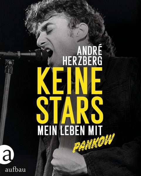 Keine Stars, Gebundene Ausgabe von André Herzberg, Aufbau, 978-3-351-03843-4