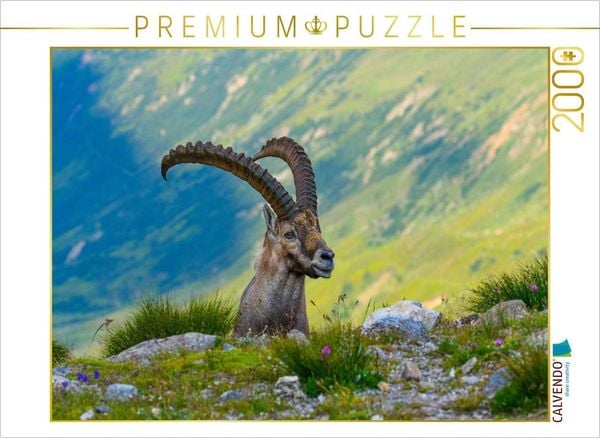 CALVENDO Puzzle Der König der Alpen | 2000 Teile Lege-Größe 90x67cm Foto-Puzzle für glückliche Stunden