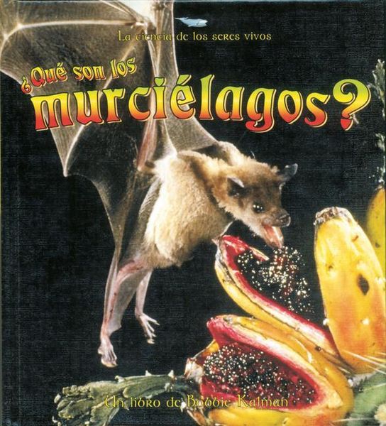 Produktbild: &iquest;Qu&eacute; Son Los Murci&eacute;lagos? (What Is a Bat?)