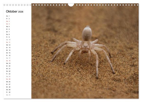 Produktbild: Namibia - Tierische Vielfalt (Planer) (Wandkalender 2026 DIN A3 quer), CALVENDO Monatskalender