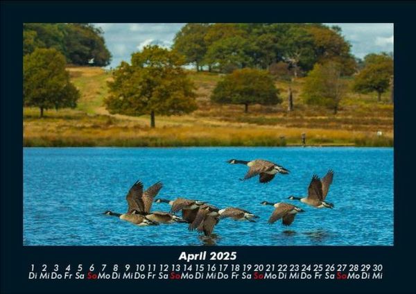 Produktbild: Wanderlust 2025 Fotokalender DIN A5