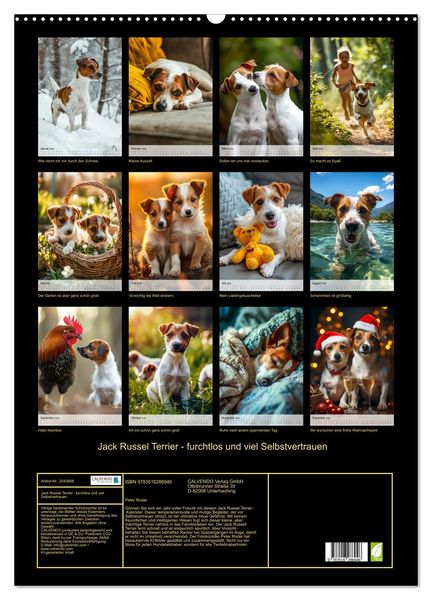 Produktbild: Jack Russel Terrier - furchtlos und viel Selbstvertrauen (Wandkalender 2026 DIN A2 hoch), CALVENDO Monatskalender