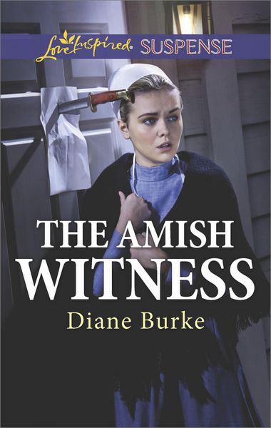 Produktbild: The Amish Witness