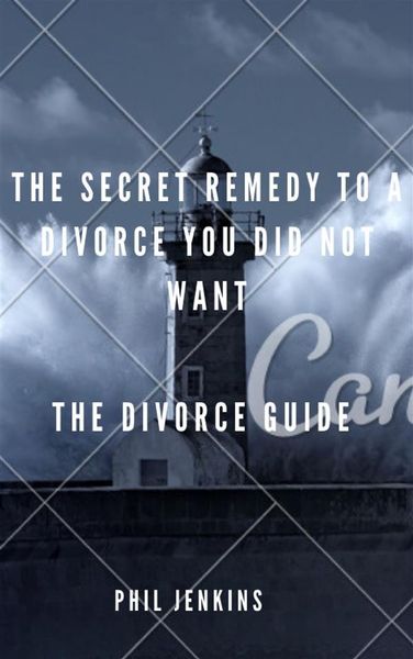 Produktbild: The secrete remedy to a divorce you did not want