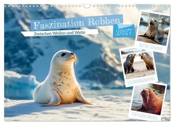 Produktbild: Faszination Robben - Zwischen Wellen und Weite (Wandkalender 2027 DIN A3 quer), CALVENDO Monatskalender