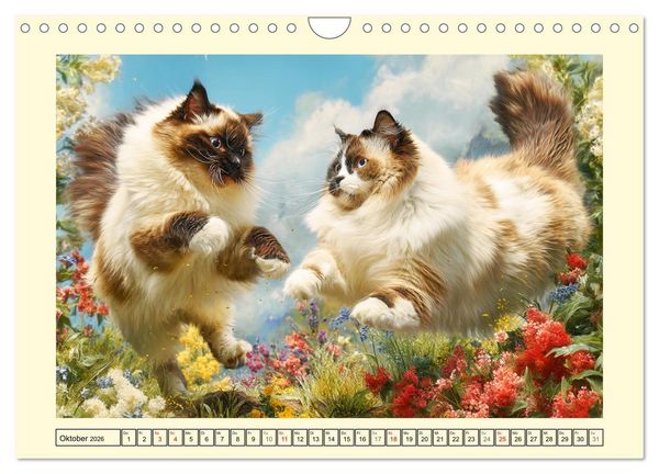 Produktbild: Sch&ouml;ne Katzen. Beliebte Samtpfoten im Garten (Wandkalender 2026 DIN A4 quer), CALVENDO Monatskalender