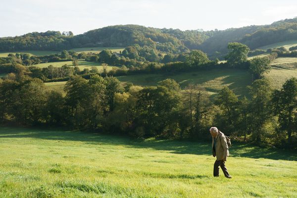Produktbild: Die unwahrscheinliche Pilgerreise des Harold Fry