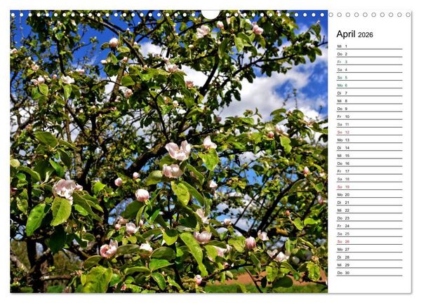 Produktbild: Landschaften des Kraichgaus (Wandkalender 2026 DIN A3 quer), CALVENDO Monatskalender