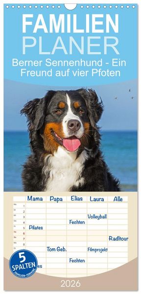 Familienplaner 2026 - Berner Sennenhund - Ein Freund auf vier Pfoten mit 5 Spalten (Wandkalender, 21 x 45 cm) CALVENDO